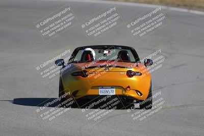 media/Nov-19-2023-Extreme Speed (Sun) [[bd0eec5490]]/Purple/Back Shots/